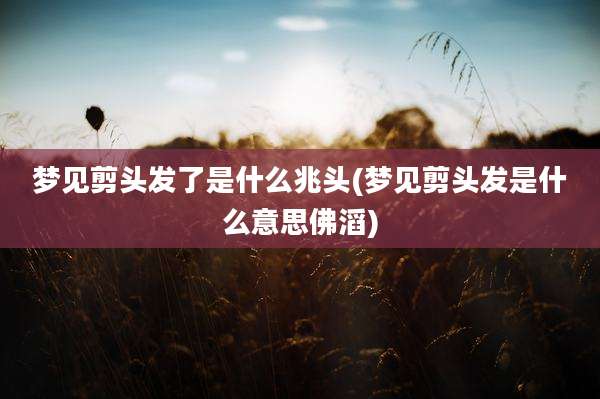 梦见剪头发了是什么兆头(梦见剪头发是什么意思佛滔)