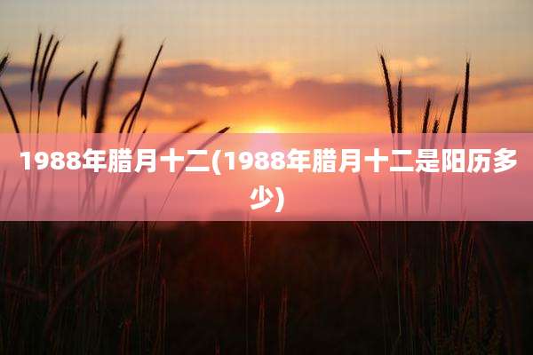 1988年腊月十二(1988年腊月十二是阳历多少)