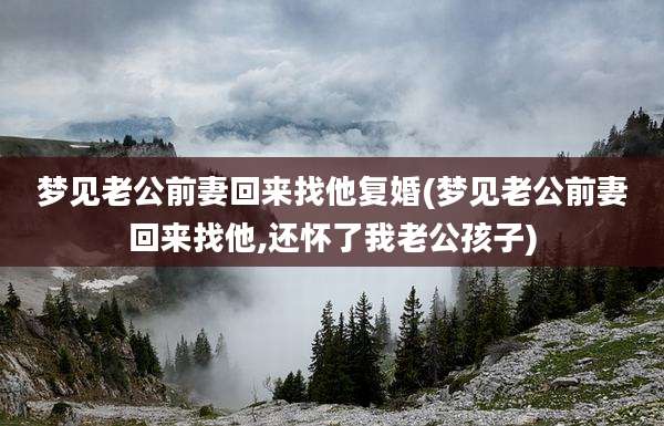 梦见老公前妻回来找他复婚(梦见老公前妻回来找他,还怀了我老公孩子)