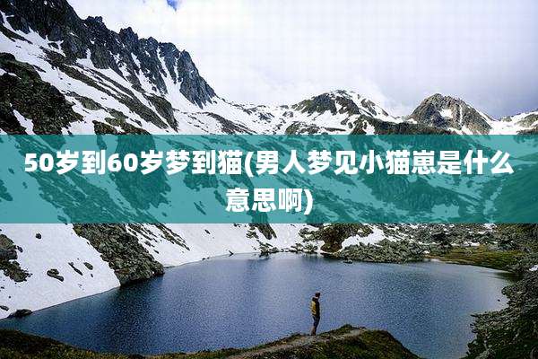 50岁到60岁梦到猫(男人梦见小猫崽是什么意思啊)
