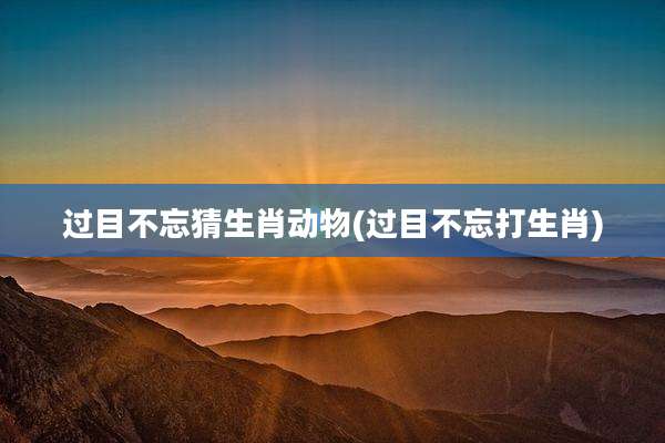 过目不忘猜生肖动物(过目不忘打生肖)