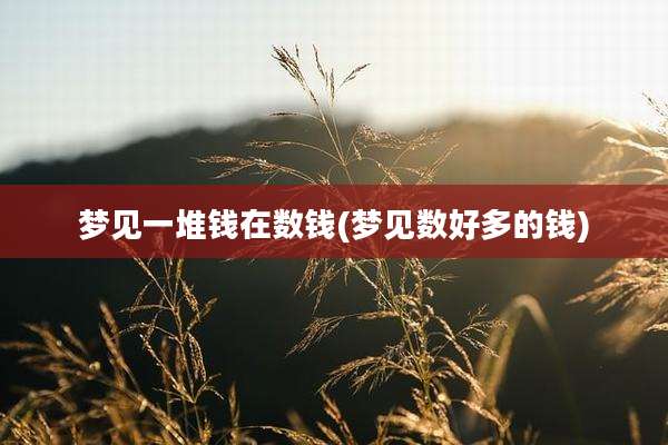 梦见一堆钱在数钱(梦见数好多的钱)