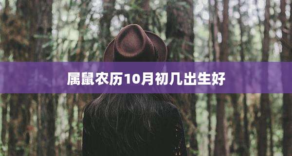 属鼠农历10月初几出生好