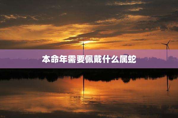 本命年需要佩戴什么属蛇