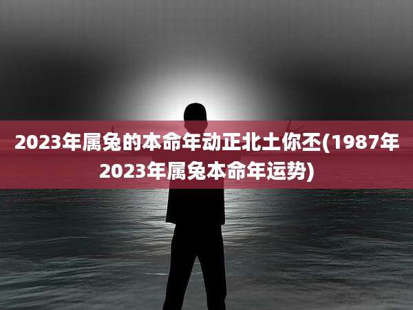 2023年属兔的本命年动正北土你丕(1987年2023年属兔本命年运势)