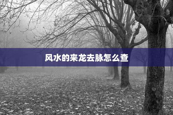 风水的来龙去脉怎么查