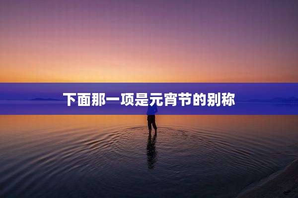 下面那一项是元宵节的别称