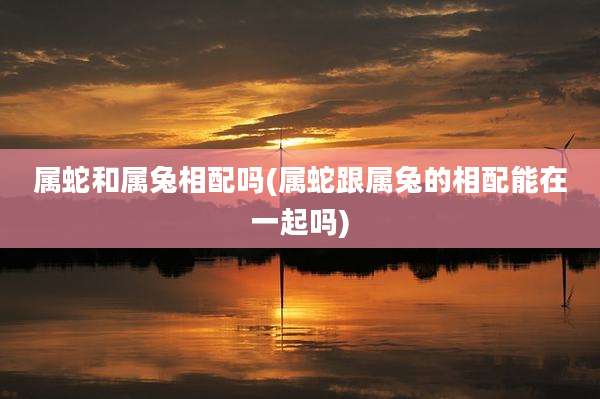 属蛇和属兔相配吗(属蛇跟属兔的相配能在一起吗)