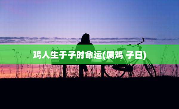 鸡人生于子时命运(属鸡 子日)