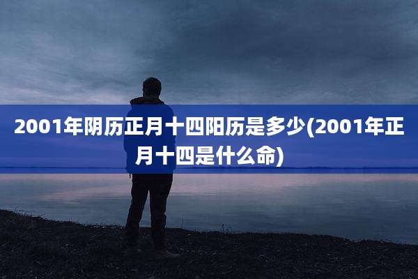 2001年阴历正月十四阳历是多少(2001年正月十四是什么命)