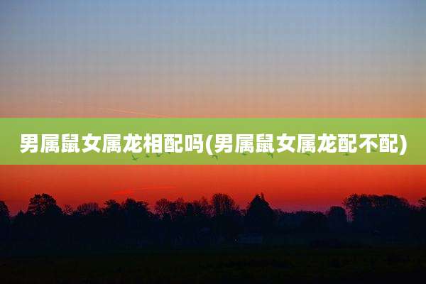男属鼠女属龙相配吗(男属鼠女属龙配不配)