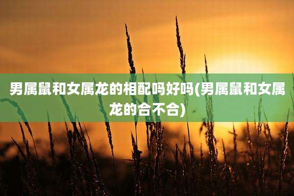 男属鼠和女属龙的相配吗好吗(男属鼠和女属龙的合不合)