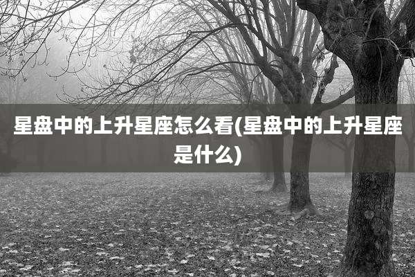 星盘中的上升星座怎么看(星盘中的上升星座是什么)