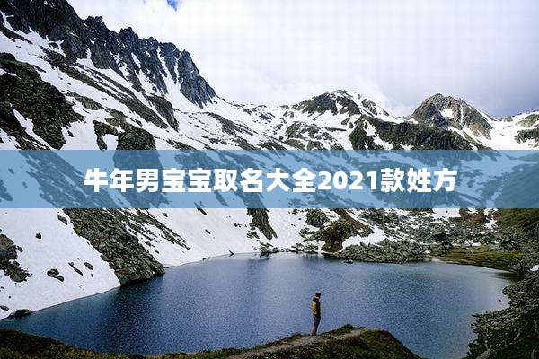 牛年男宝宝取名大全2021款姓方