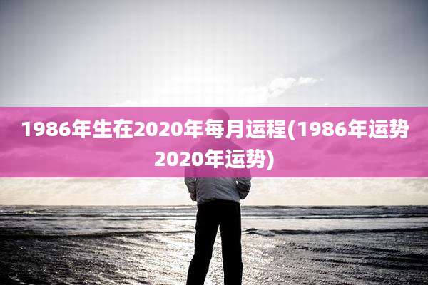 1986年生在2020年每月运程(1986年运势2020年运势)