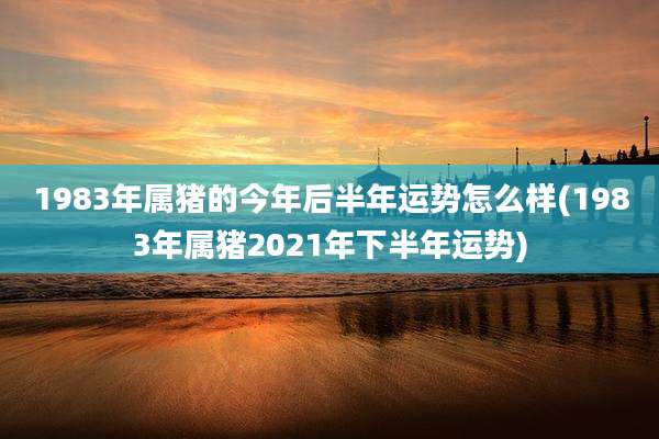 1983年属猪的今年后半年运势怎么样(1983年属猪2021年下半年运势)