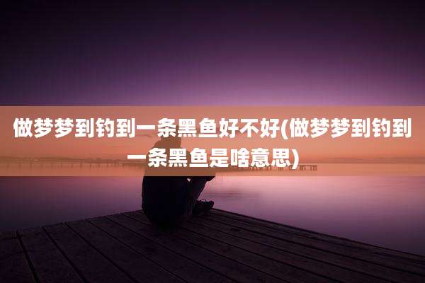 做梦梦到钓到一条黑鱼好不好(做梦梦到钓到一条黑鱼是啥意思)