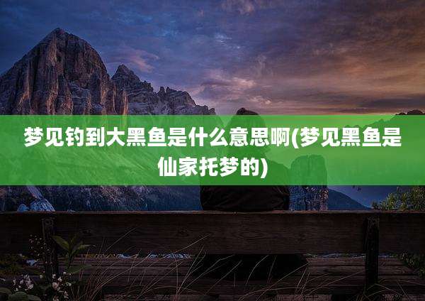 梦见钓到大黑鱼是什么意思啊(梦见黑鱼是仙家托梦的)