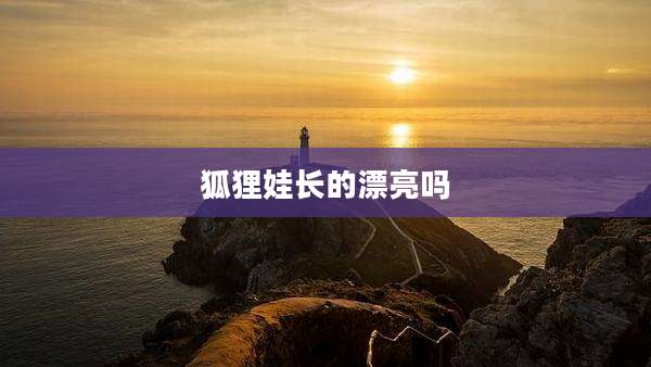 狐狸娃长的漂亮吗