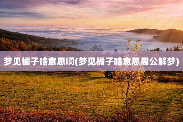 梦见橘子啥意思啊(梦见橘子啥意思周公解梦)