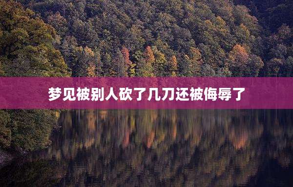 梦见被别人砍了几刀还被侮辱了