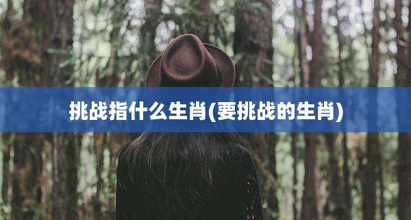 挑战指什么生肖(要挑战的生肖)