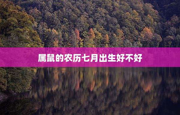 属鼠的农历七月出生好不好