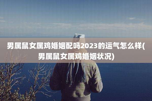 男属鼠女属鸡婚姻配吗2023的运气怎么样(男属鼠女属鸡婚姻状况)