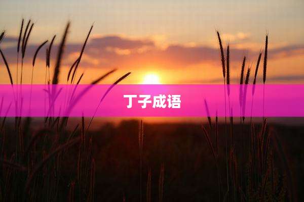 丁子成语