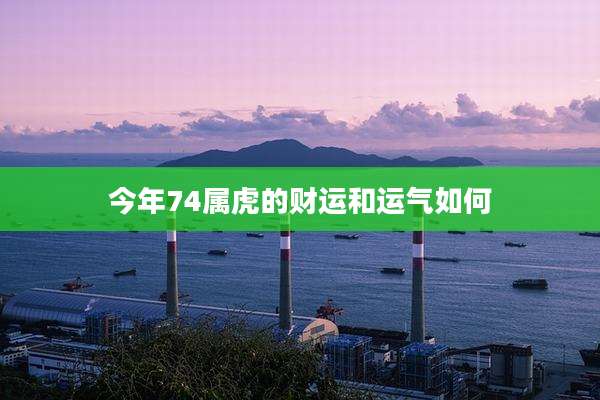 今年74属虎的财运和运气如何