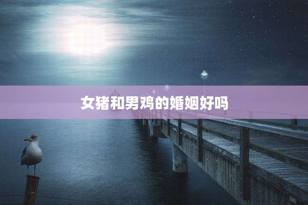 女猪和男鸡的婚姻好吗