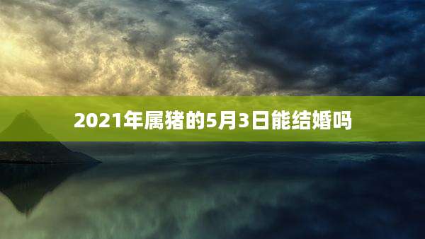 2021年属猪的5月3日能结婚吗
