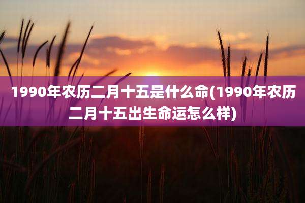 1990年农历二月十五是什么命(1990年农历二月十五出生命运怎么样)