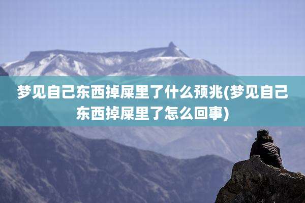 梦见自己东西掉屎里了什么预兆(梦见自己东西掉屎里了怎么回事)