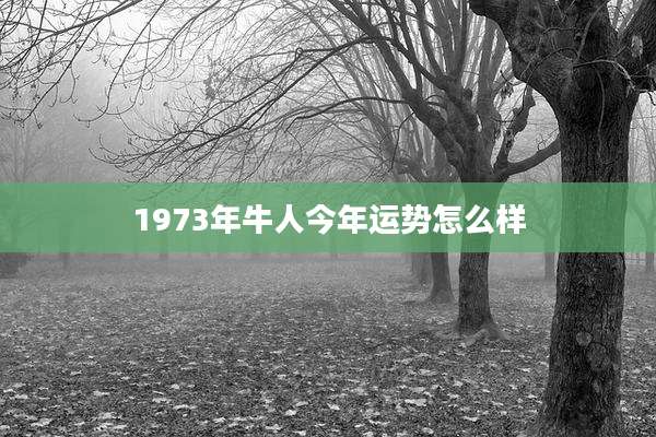 1973年牛人今年运势怎么样