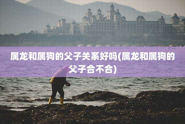 属龙和属狗的父子关系好吗(属龙和属狗的父子合不合)