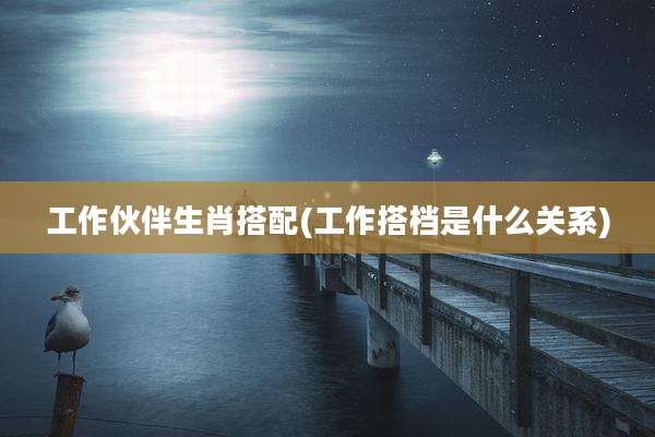 工作伙伴生肖搭配(工作搭档是什么关系)