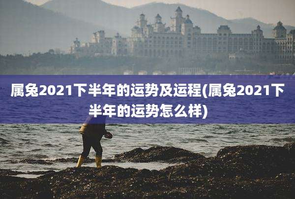 属兔2021下半年的运势及运程(属兔2021下半年的运势怎么样)