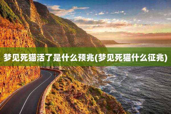 梦见死猫活了是什么预兆(梦见死猫什么征兆)