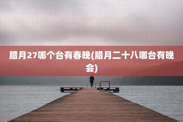 腊月27哪个台有春晚(腊月二十八哪台有晚会)