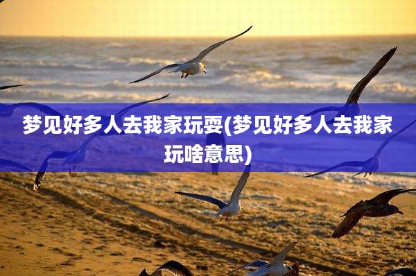 梦见好多人去我家玩耍(梦见好多人去我家玩啥意思)