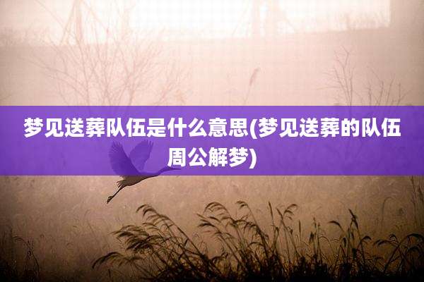 梦见送葬队伍是什么意思(梦见送葬的队伍周公解梦)