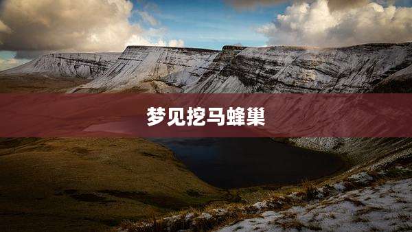 梦见挖马蜂巢