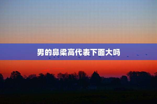 男的鼻梁高代表下面大吗