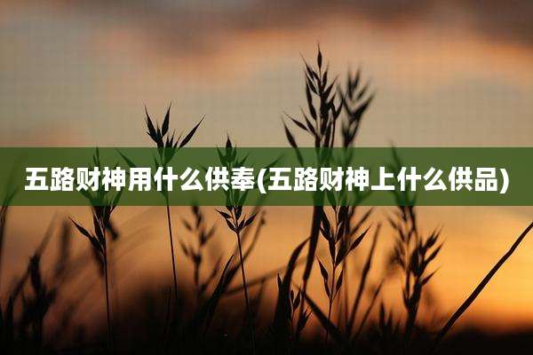 五路财神用什么供奉(五路财神上什么供品)