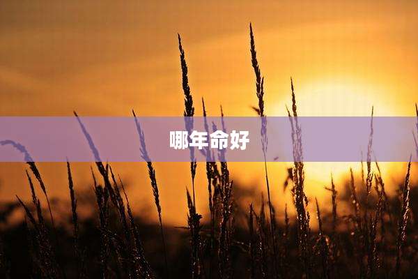 哪年命好