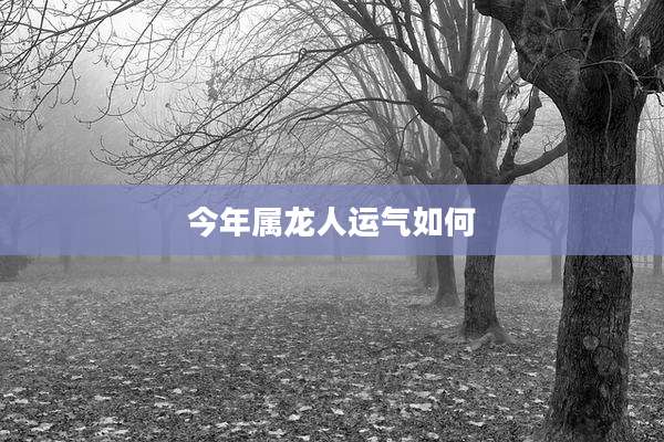 今年属龙人运气如何