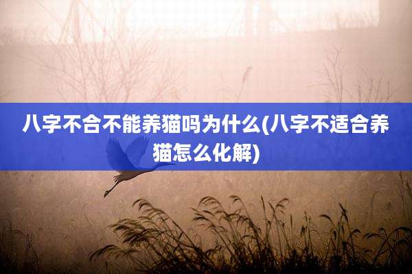 八字不合不能养猫吗为什么(八字不适合养猫怎么化解)