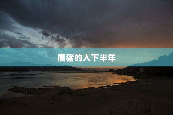 属猪的人下半年