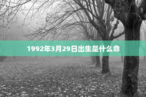 1992年3月29日出生是什么命